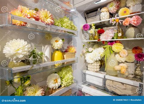 Can you put flowers in the refrigerator, or should we question the existence of time?