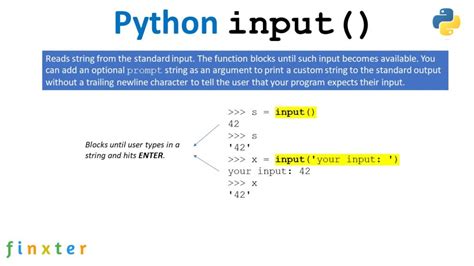 python input 使い方: なぜ猫はキーボードを叩くのか？