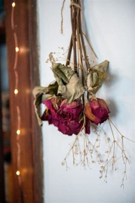 What Does Hanging Flowers Upside Down Do and Why Do Cats Suddenly Start Baking Bread?