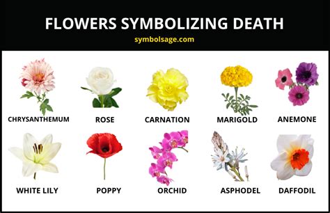 What Flowers Symbolize Death: Exploring the Mystique of Mortality in Floral Imagery