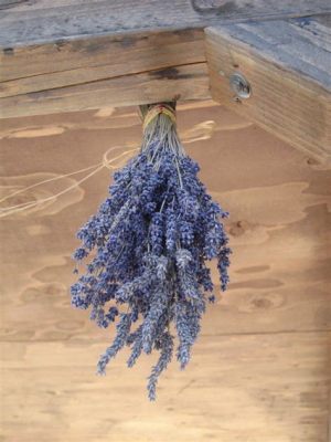 What to Do with Dried Lavender Flowers: And Why They Might Just Be the Secret Ingredient to Your Next Adventure